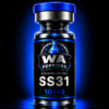 SS31